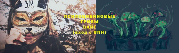 ПСИЛОЦИБИНОВЫЕ ГРИБЫ Абдулино