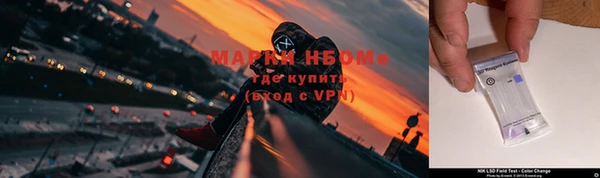 ПСИЛОЦИБИНОВЫЕ ГРИБЫ Абдулино