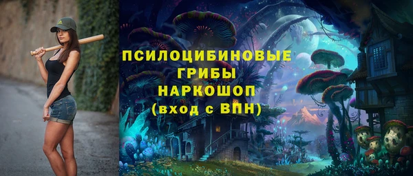 PSILOCYBIN Алексеевка