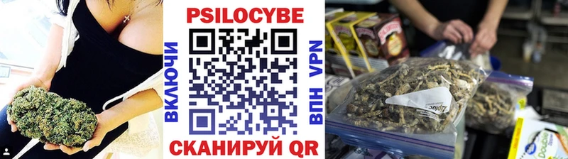 купить закладку  Нерчинск  Псилоцибиновые грибы ЛСД 